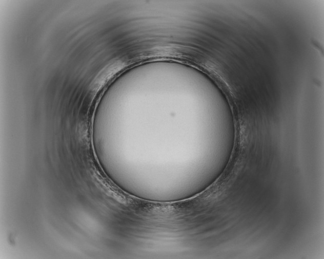 X0000100410882200806131033