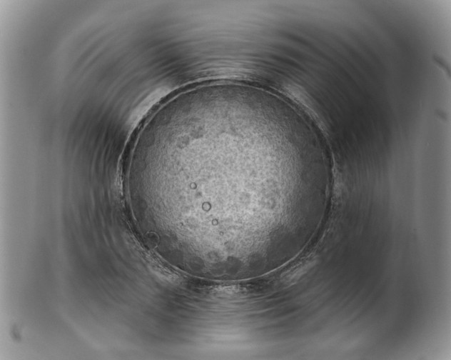 X0000100410883200806131033