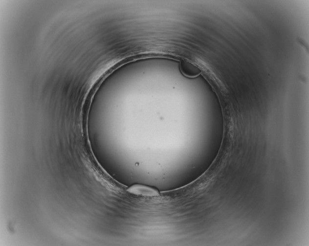 X0000100410884200806131033