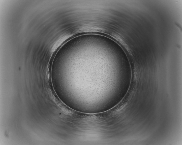 X0000100410885200806131033