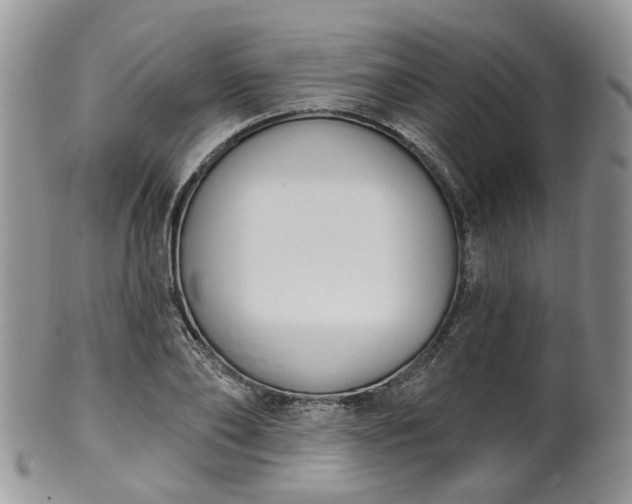 X0000100410886200806131033