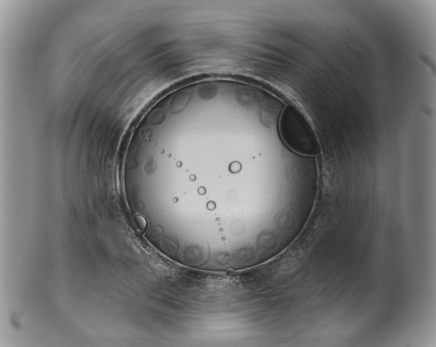 X0000100410887200806131033