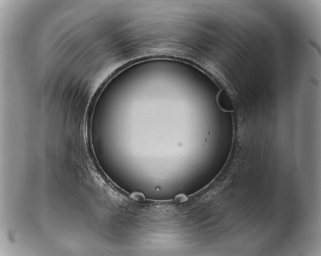 X0000100410888200806131033