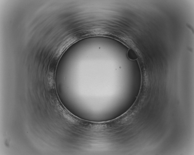 X0000100410889200806131033