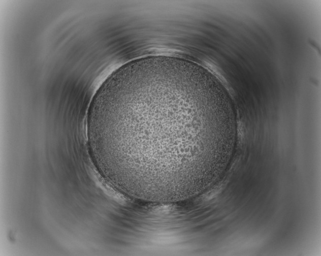 X0000100410891200806131033