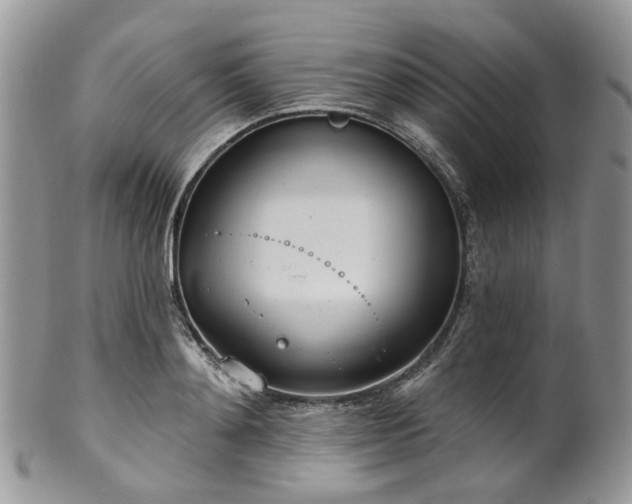 X0000100410892200806131033