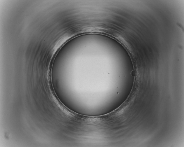 X0000100410893200806131033