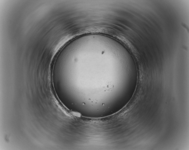 X0000100410894200806131033