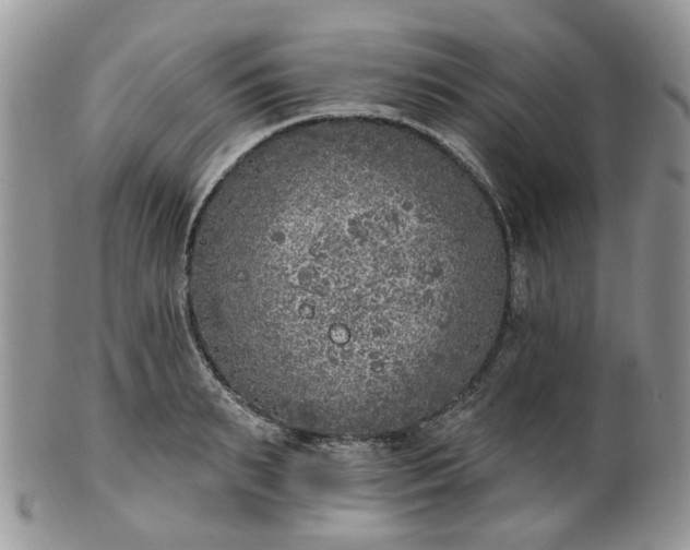 X0000100410895200806131033