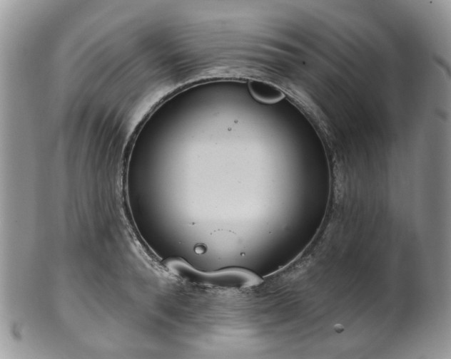 X0000100410896200806131033