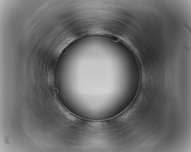 X0000100410897200806131033