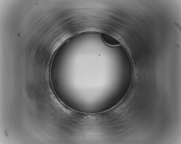 X0000100410898200806131033