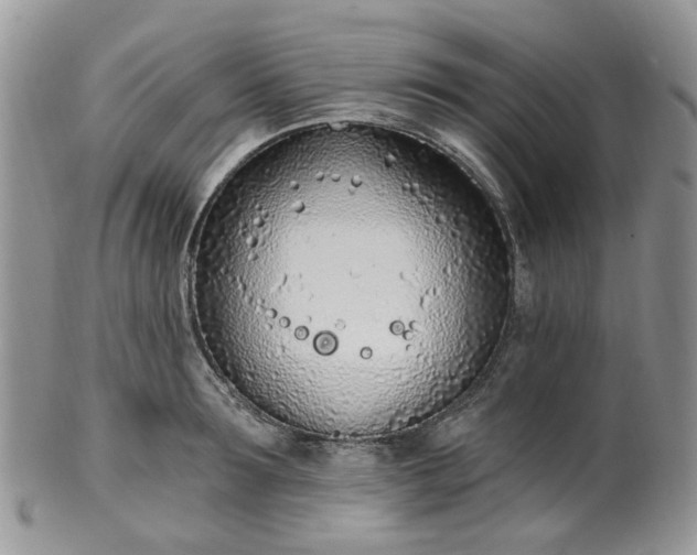 X0000100410899200806131033