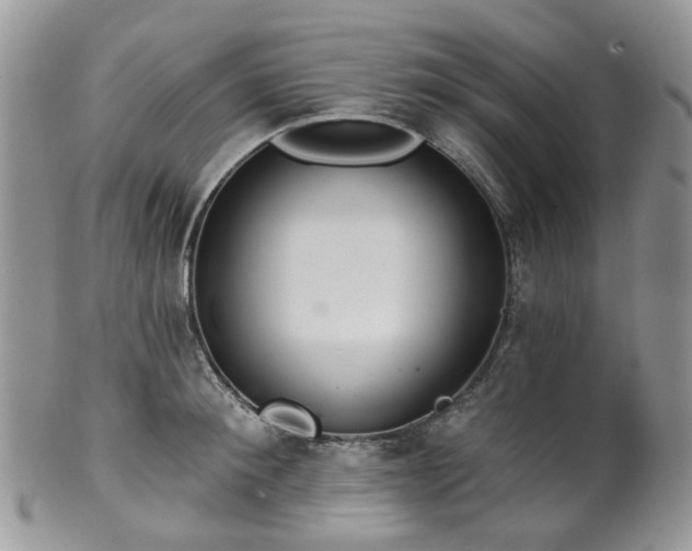 X0000100410900200806131033