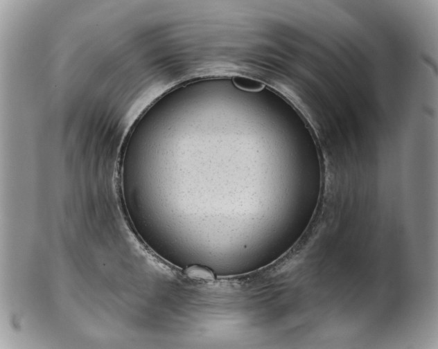 X0000100410901200806131033