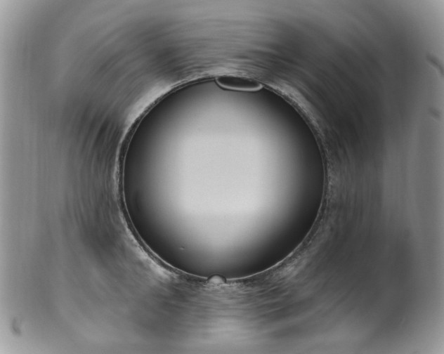 X0000100410902200806131033