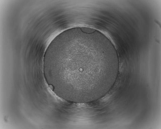 X0000100410903200806131033