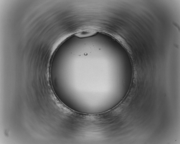 X0000100410904200806131033