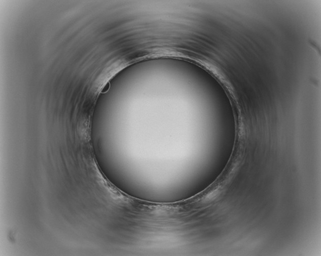 X0000100410905200806131033