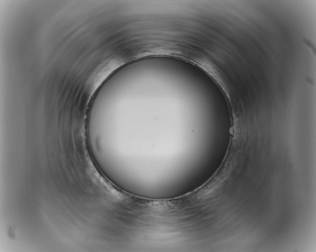 X0000100410906200806131033