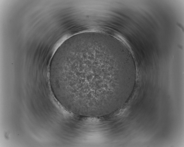 X0000100410907200806131033