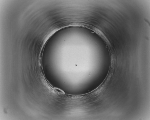 X0000100410908200806131033