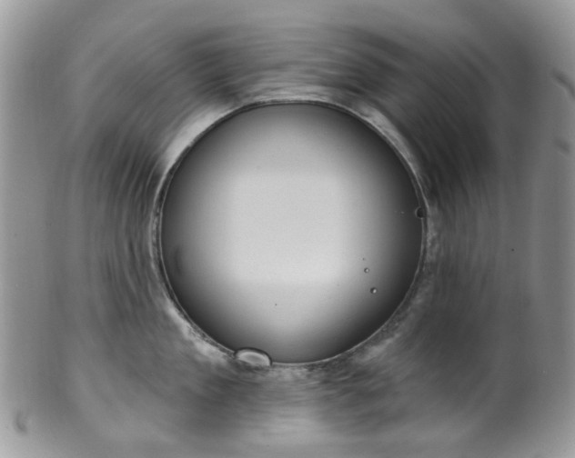 X0000100410909200806131033