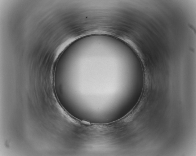 X0000100410910200806131033