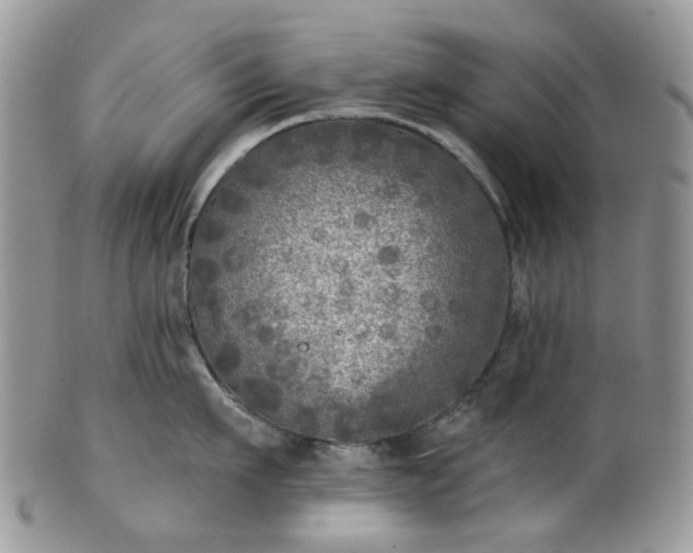 X0000100410911200806131033