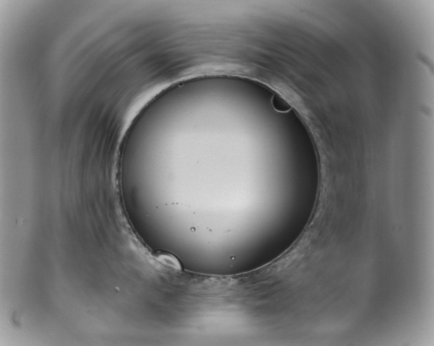 X0000100410912200806131033