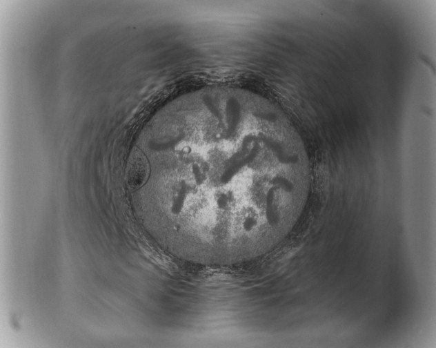 X0000100410913200806131032