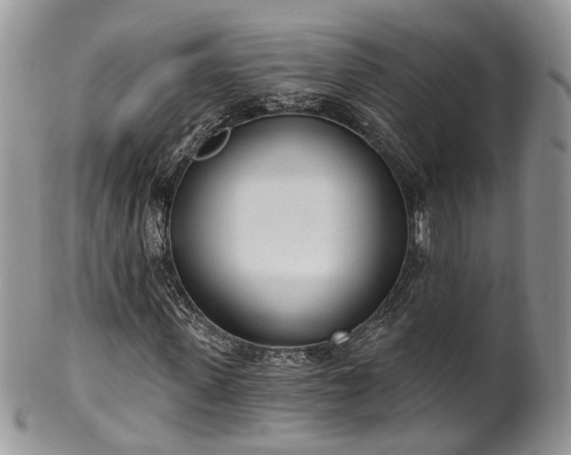 X0000100410915200806131032