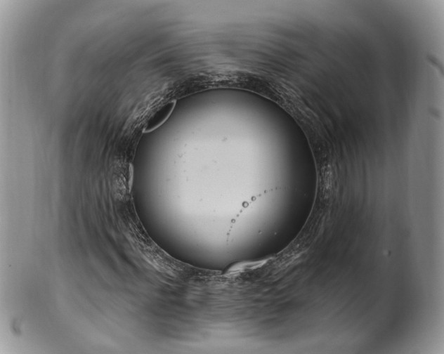 X0000100410916200806131032