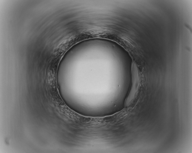 X0000100410917200806131032