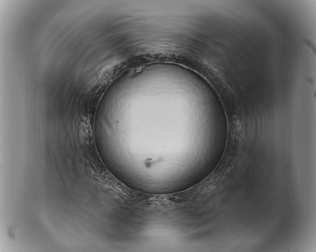 X0000100410918200806131032