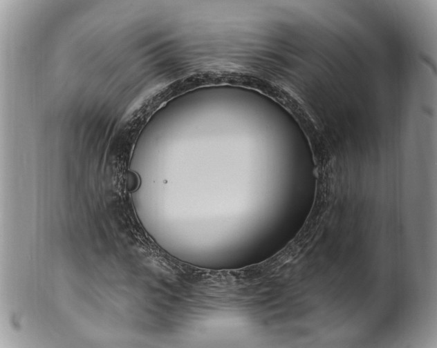 X0000100410919200806131032