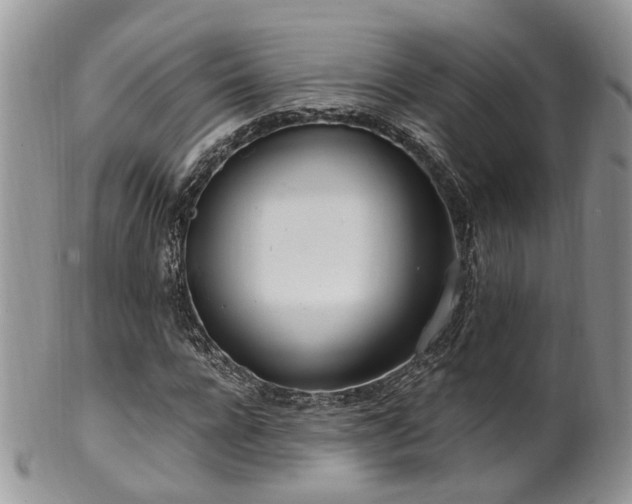 X0000100410920200806131032