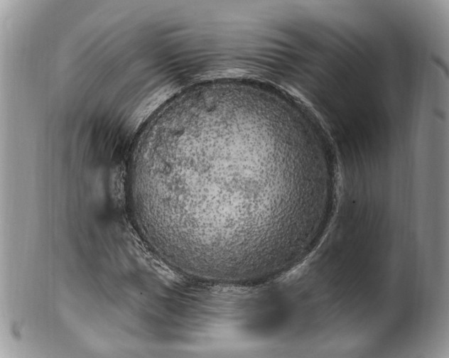 X0000100410921200806131032