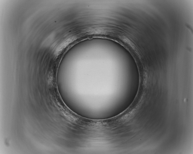 X0000100410922200806131032