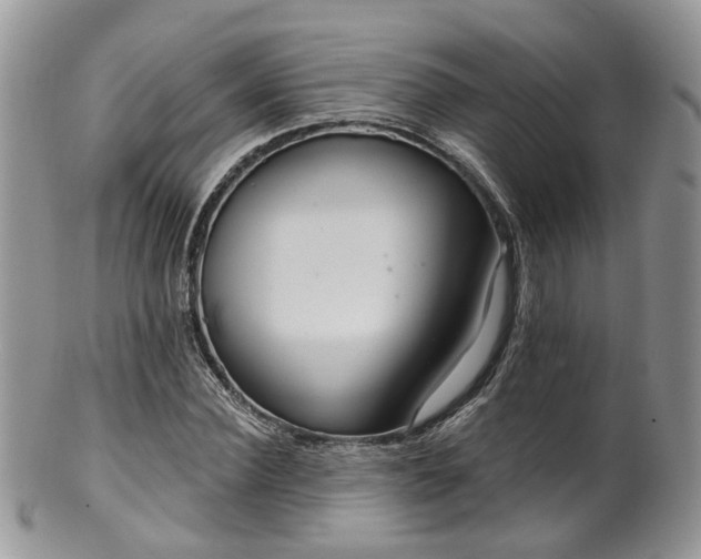 X0000100410924200806131032