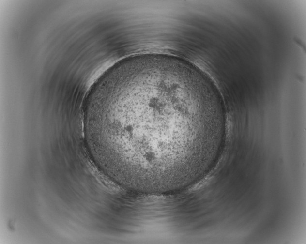 X0000100410925200806131032