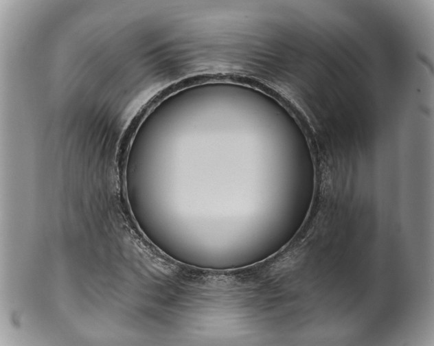 X0000100410927200806131032