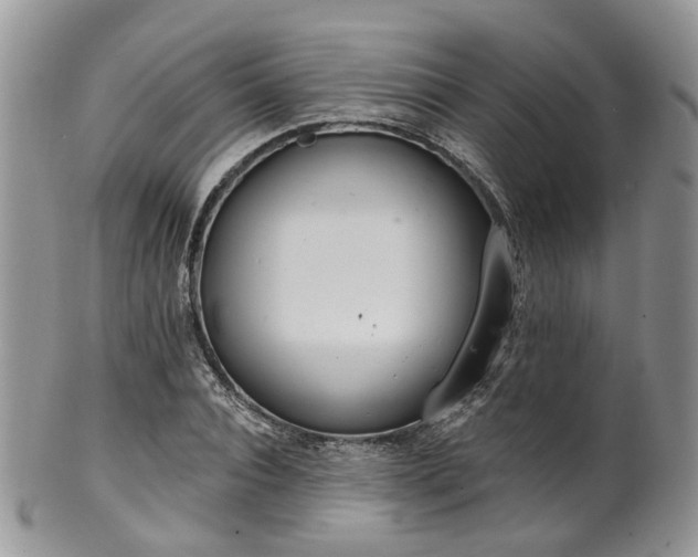 X0000100410928200806131033