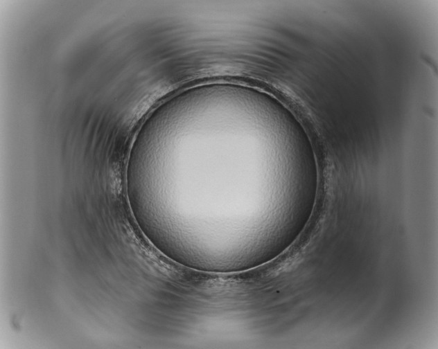 X0000100410929200806131033