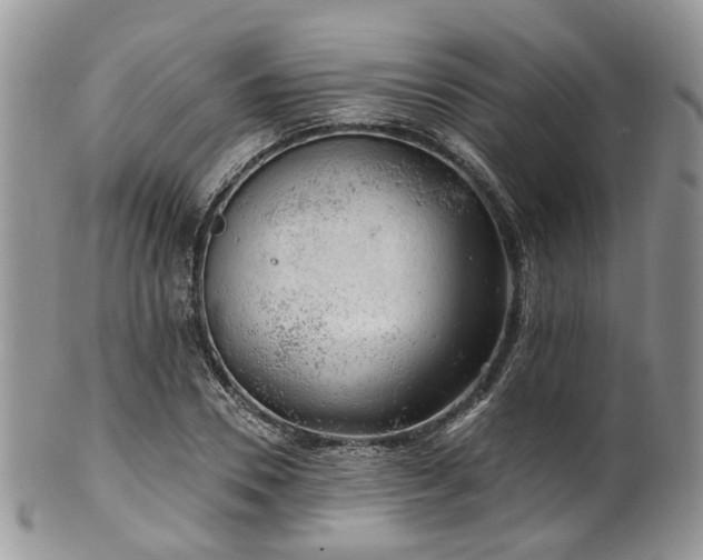 X0000100410930200806131033