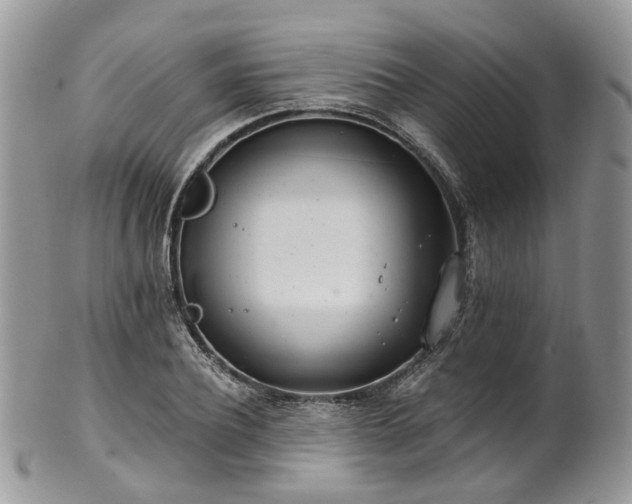 X0000100410932200806131033