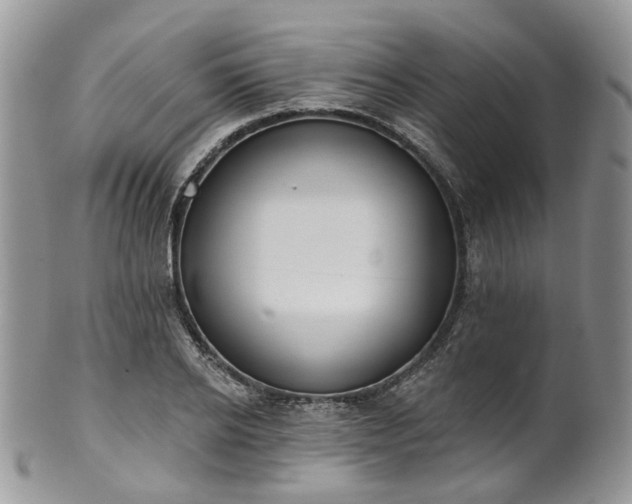 X0000100410934200806131033