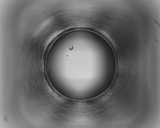 X0000100410935200806131033