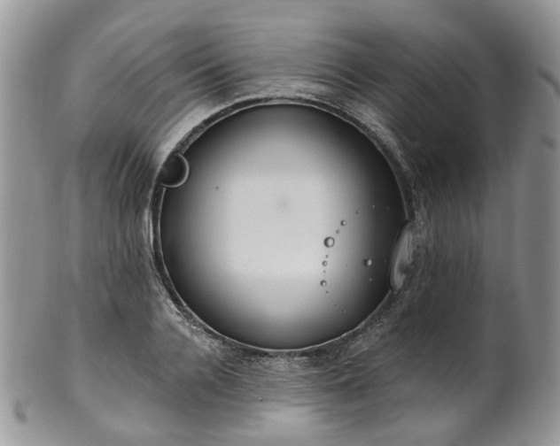 X0000100410936200806131033