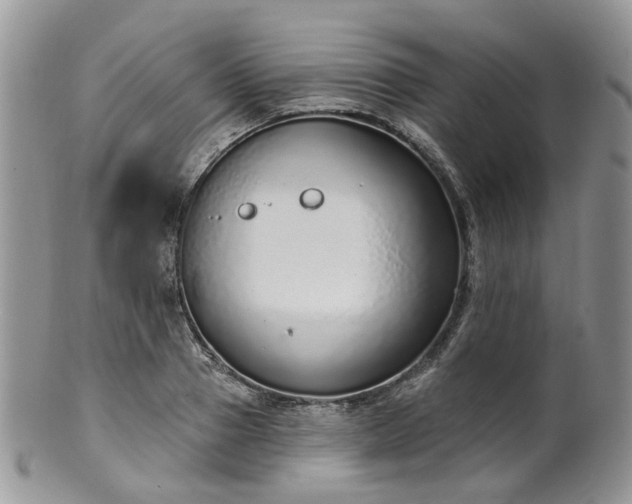 X0000100410937200806131033